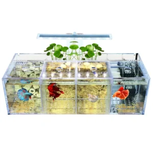 Factory Custom Eco friendly Modern Aquarium Decoration Acrylic Fish tank Aquariums Accessories with Aquarium Light