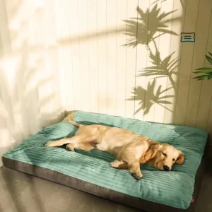 Factory Custom Luxury Pet Furniture Supplies Accessories Soft Removable Washable Pet Dog Bed