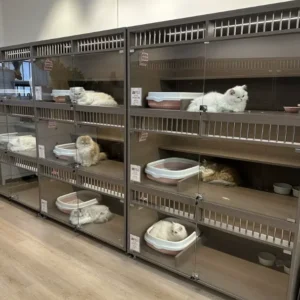 Factory Custom Modern Indoor Luxury Wooden Multifunctional Space Saving Display Cat Furniture Breeding House Casters Solid
