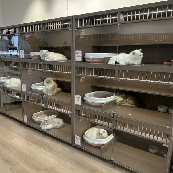 Factory Custom Modern Indoor Luxury Wooden Multifunctional Space Saving Display Cat Furniture Breeding House Casters Solid