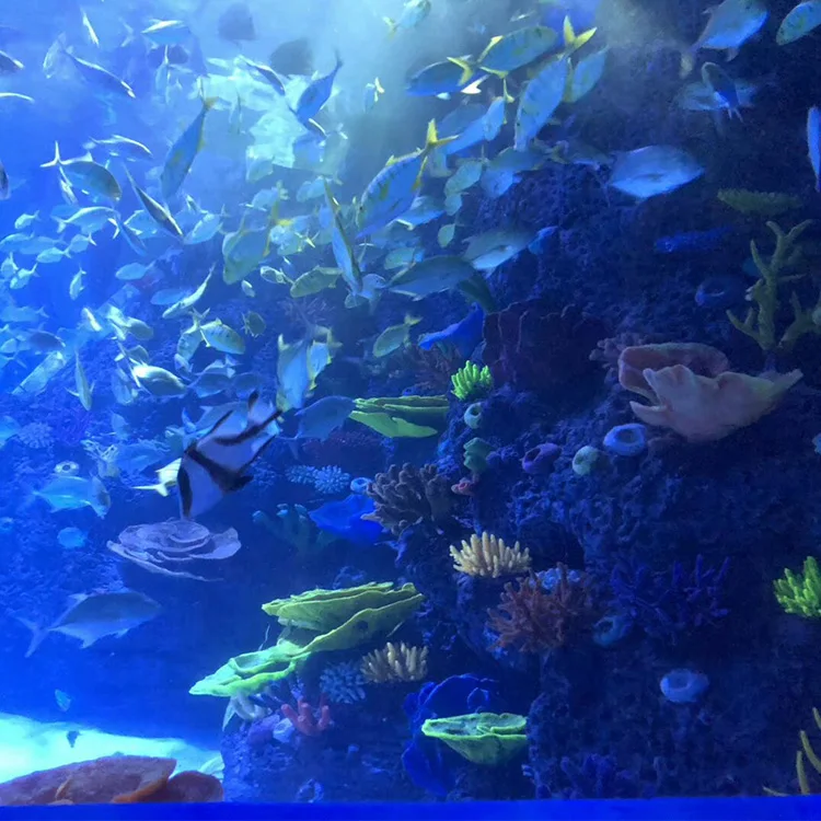 Factory Custom New Style Irregular Eco Friendly Plastic Transparent Cylindrical Acrylic Large Fish Tank Aquarium