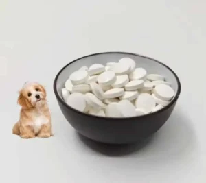 Factory Custom Supply Bulk Customized PET Nutritional Supplements Powder for Cats and Dogs for Cats Tablet and Pills
