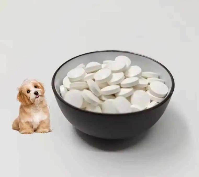 Factory Custom Supply Bulk Customized PET Nutritional Supplements Powder for Cats and Dogs for Cats Tablet and Pills
