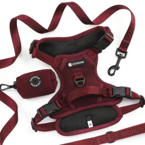 Factory Custom Tough No Pull Dog Harness Pet Harness Dog Leash Adjustable Padded Breathable Reflective Training Vest Harness Set