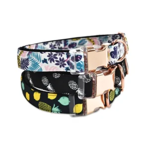 Factory Customize Colorful Design Dog Luxury Collar Durable Metal Buckle Dog Collar