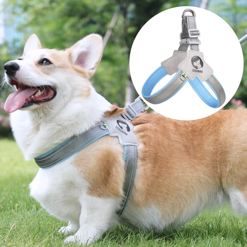 Factory Direct Adjustable Fashionable Dog Harness