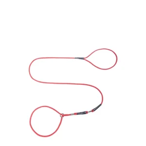 Factory Direct Customizable Nylon P Chain Competition Leash for Small Dog Teddy Poodle Hand Strap Outdoor Walking Lead