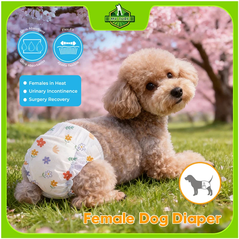 Factory Direct Disposable Dog Diaper Super Absorbent Leakproof Pet Nappy for Male Female Dogs Puppy Potty Training All Sizes