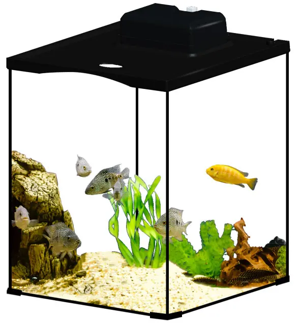 Factory Direct Fish Tank Aquarium Kit with Aquarium Accessories LED Lighting and Filtration Included Glass Tank