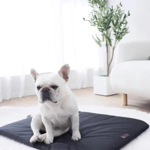 Factory Direct Free Sample Free Shipping Disposable Pet Products for Dogs Cats Birds Small Animals