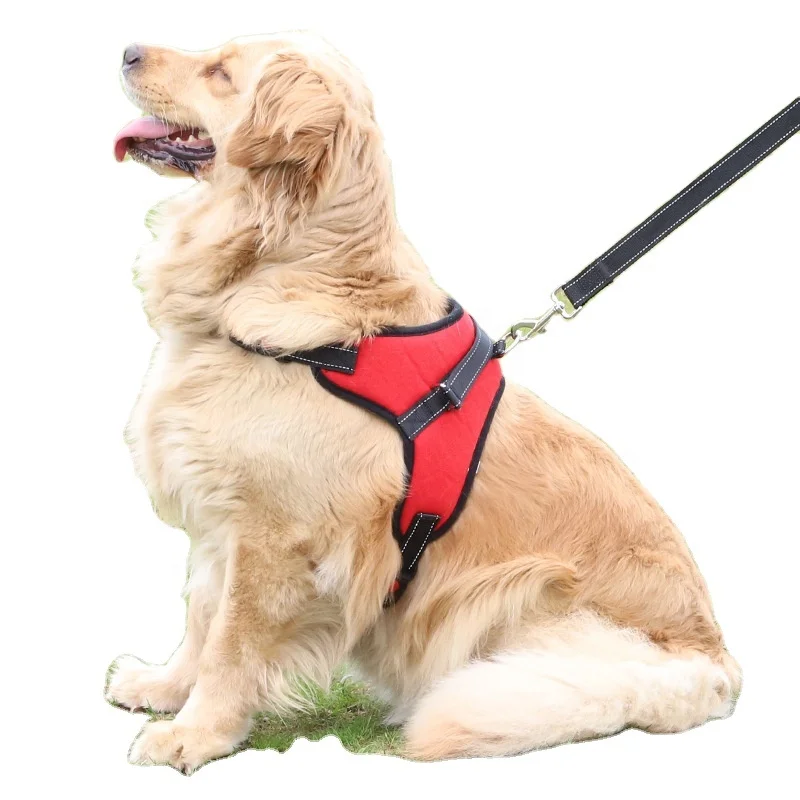 Factory Direct Heavy Duty Nylon Pet Harness for Walk Dog
