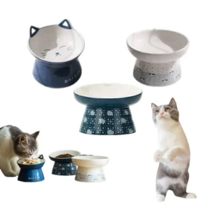 Factory Direct Inclined Bowl Feeder for Cats Elevated Ceramic Pet Food & Water Bowl Set