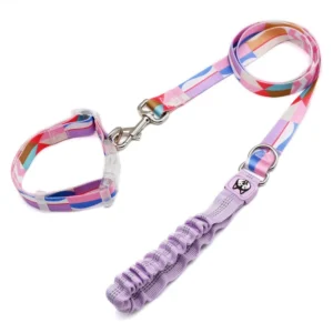 Factory Direct Pet Collars Leashes Adjustable Harness for Dogs Collar Pet Accessories for Dog Hiking