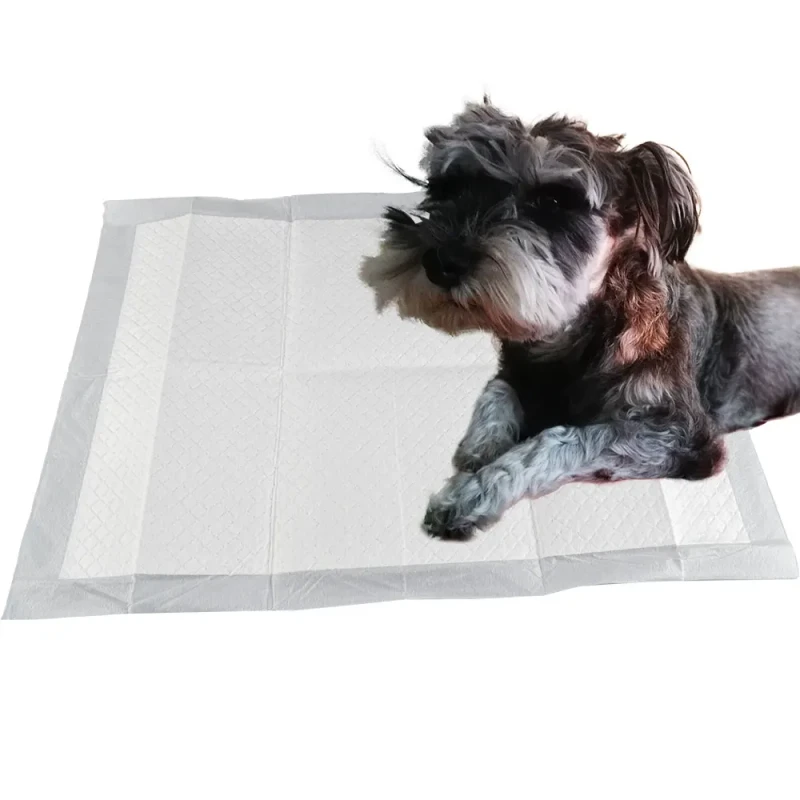 Factory Direct Sale Disposable Pet Diapers Super Absorbent Training Pads for Dogs and Cats
