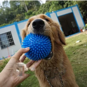 Factory Direct Sale Dog Chew Toys for Aggressive Chewers Teething Puppies and Clean Teeth Interactive Squeaky Toy for Training