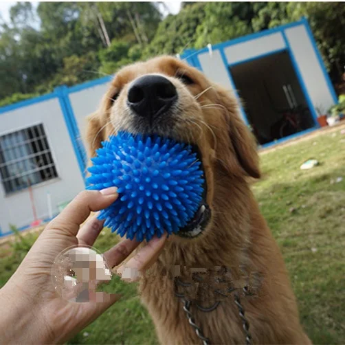Factory Direct Sale Dog Chew Toys for Aggressive Chewers Teething Puppies and Clean Teeth Interactive Squeaky Toy for Training