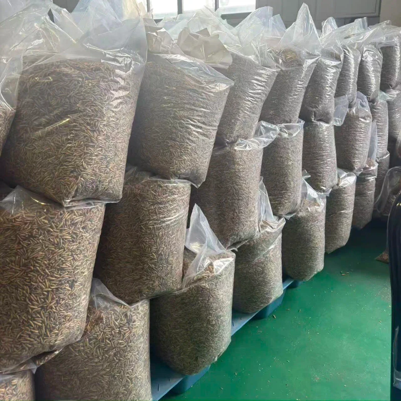 Factory Direct Sale High Protein Black Soldier Fly for Birds Chickens Reptiles & Fish Custom OEM Packaging Available