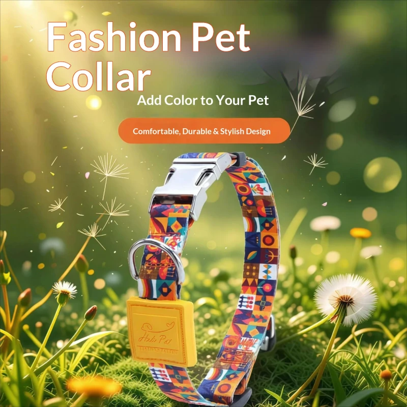 Factory Direct Sale Imitation Nylon Pet Collars with Metal Buckle and Cloud Print