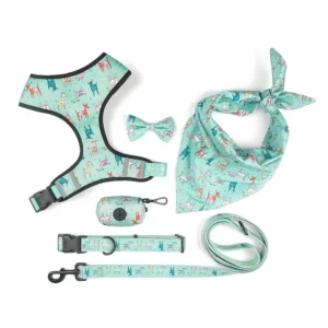 Factory Direct Sale Pet Dog Leash Harness Strap Bowknot Extendable Printed Trash Bag Square Scarf Collar Six piece Set