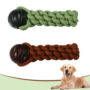 Factory Direct Sale of Pet TPR Cotton Rope Chewing Toys Indoor Tug of war for Cleaning Teeth Grinding Customized Colors