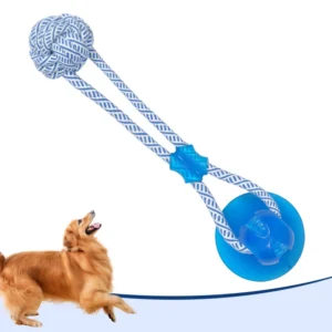 Factory Direct Sale of Pet TPR Cotton Rope Chewing Toys Indoor Tug of war for Cleaning Teeth Grinding Customized Colors