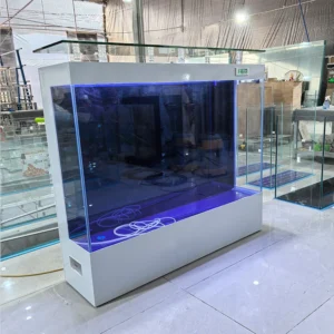 Factory Direct Sales Large Indoor Household Aquarium Fish Tank Rectangle Glass with Back Filter System Accessories