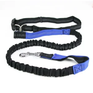 Factory Direct Sales Personalized Pet Leashes Custom Designer Pet Dog Leash Training Harness for Dogs Colored