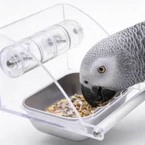 Factory Directly Eco Friendly Portable Acrylic Anti Spill Transparent Parrot and Bird Feeder for Pigeons
