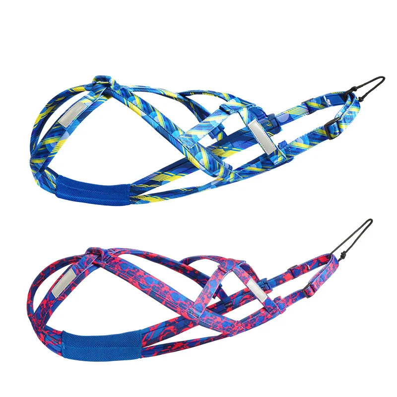 Factory Directly Sale Dog Harness Safety Durable Pet Leash for Outdoor