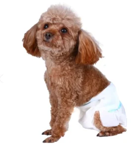 Factory Disposable Pet Dog Diapers PE Waterproof Film High Absorbency Quick Dry Anti Leak Puppy Diaper Male Female