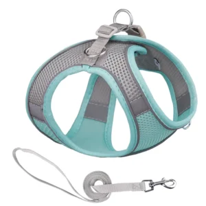 Factory Dog Leash and Harness Pet Harness Set