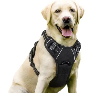 Factory Guangdong Luxury Pet Supplies Adjust Nylon Pet Chest Strap Leash Dog Harness Set for Large Dog