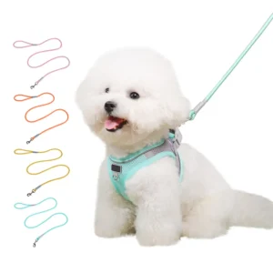 Factory Heavy Duty Solid Nylon Luxury Fashion Reflective Soft Pet Leashes for Puppy Dogs Training and Walking Small Dog