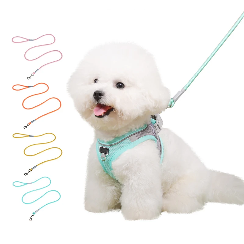 Factory Heavy Duty Solid Nylon Luxury Fashion Reflective Soft Pet Leashes for Puppy Dogs Training and Walking Small Dog