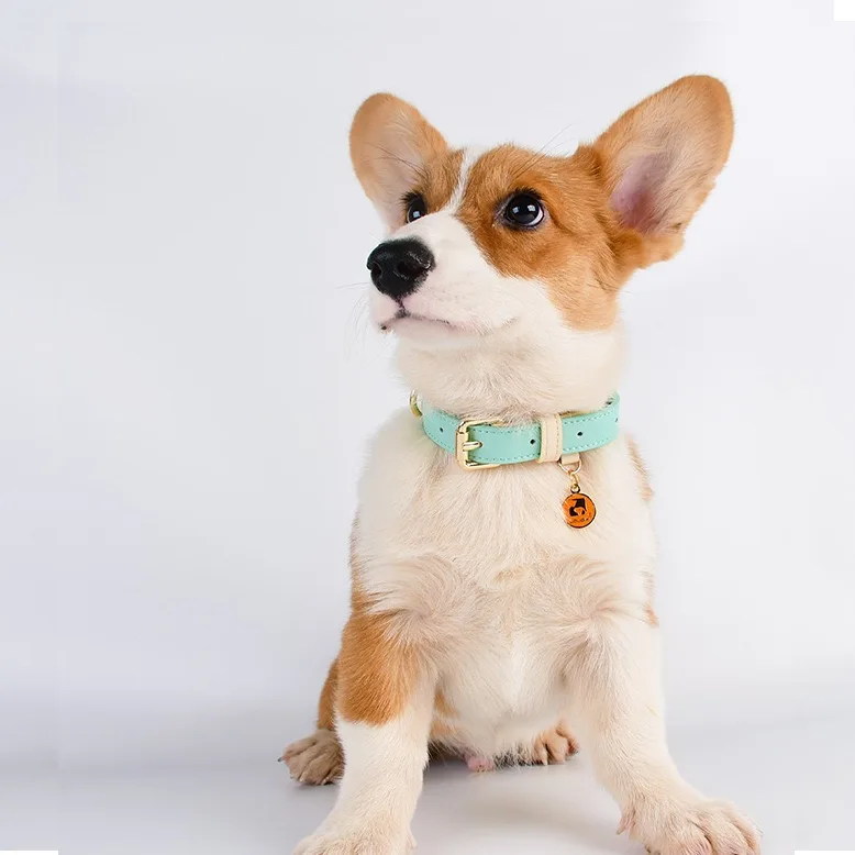 Factory High Quality Adjustable Genuine Leather Pet Collar With Metal Buckle For Pets
