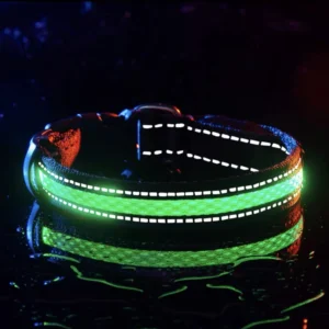 Factory Led Light Dog Collar Usb Charging Pet Outdoor Dog Collar Custom
