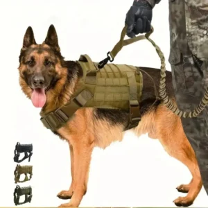 Factory Luxury 1000D Strong Leather Dog Leash Set Chest Harness with Custom Camouflage Pet Nylon Material LED Lights