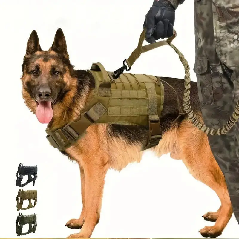 Factory Luxury 1000D Strong Leather Dog Leash Set Chest Harness with Custom Camouflage Pet Nylon Material LED Lights