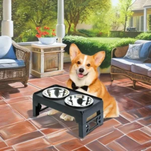 Factory New Design Adjustable Dual Feeder Elevated Stainless Steel & Plastic BPA Free Pet Food Bowl for Small Medium Large Dogs