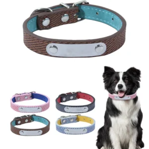Factory New Design Dog Collar Pet Supplies PVC Material Cat Pet Collar Custom