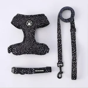 Factory Padded Polyester Adjustable Buckle Small Medium Pet Puppy Kitten Cat Outdoor Walking Pet Collars Leashes Harnesses