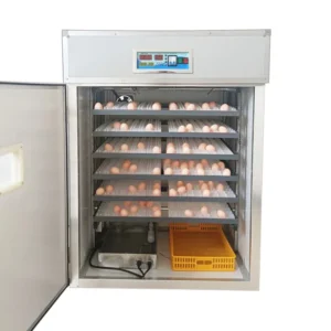 Factory Price Automatic PP Material High Productivity Small-Sized Dual Power Supply Bird Egg Hatcher Home Farm Duck Ostrich