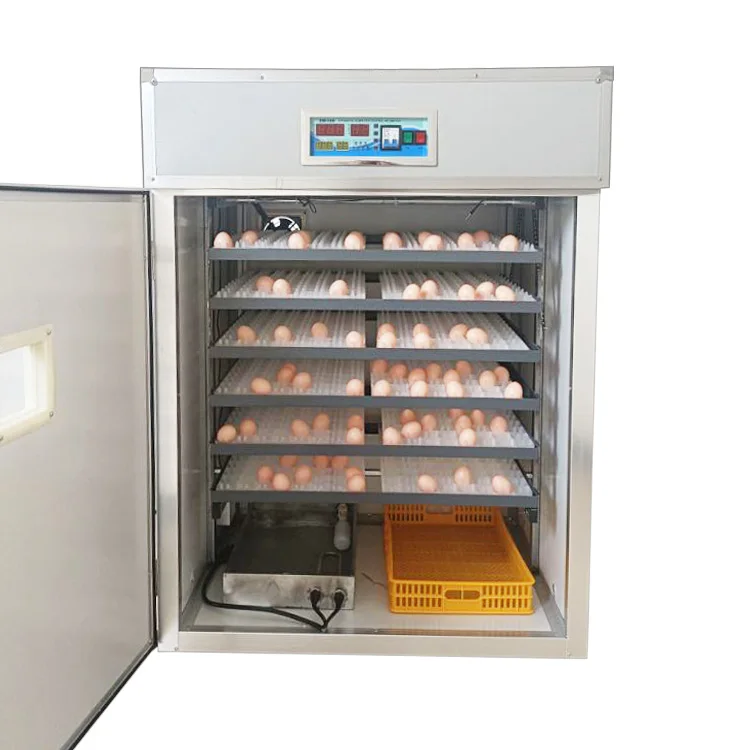 Factory Price Automatic PP Material High Productivity Small-Sized Dual Power Supply Bird Egg Hatcher Home Farm Duck Ostrich