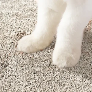 Factory Price Eco friendly High Clumping Dust Free Sodium Based Mineral Large Particle Natural Light 5kg Cat Litter