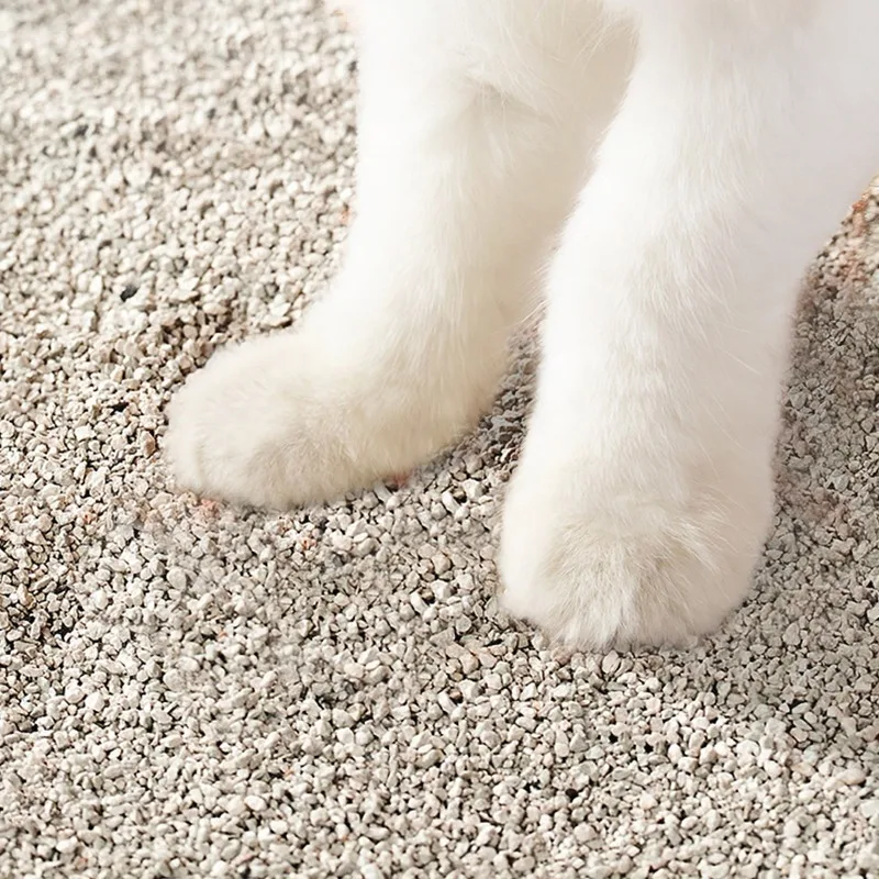 Factory Price Eco friendly High Clumping Dust Free Sodium Based Mineral Large Particle Natural Light 5kg Cat Litter