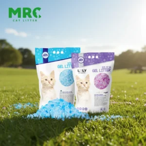Factory Price High Grade Eco Friendly Silica Gel Cat Litter OEM ODM Supply Super Absorbent Odor Control Dust Free