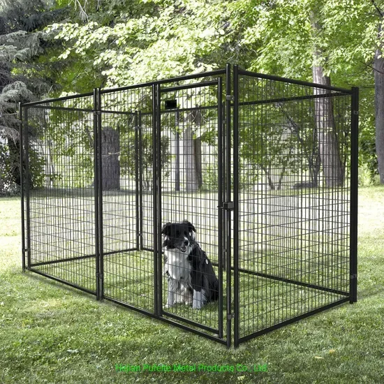 Factory Welded Wire Mesh Dog Kennel Outdoor Metal Dog Cage 4ft 5ft 6ft 10ft Multiple Sizes for Farm Backyard