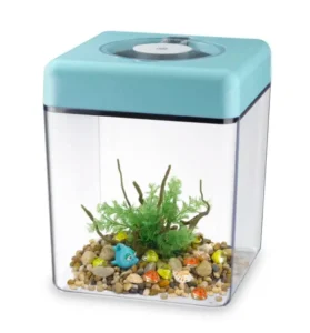 Fashion Office Decoration Transparent Plastic Aquarium with Multi color LED Lights for the Desktop Office Accessories