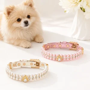 Fashion Simple Style Zinc Alloy & PU Solid Pattern Pet Collar for Cats & Dogs Medium & Small Breeds All Seasons
