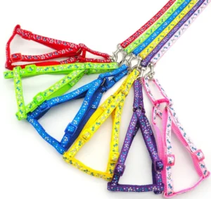 Fashion Style High Quality New Dog Harness and Leash Pet Harness Set for Walking Dog